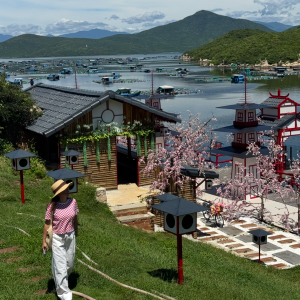 ngoi-chua-dep-nhat-vinh-van-phong-4-mat-huong-bien-tha-ho-check-in-long-gio